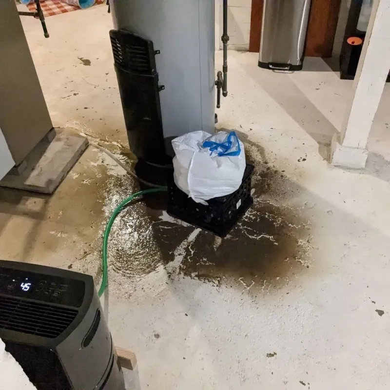 Sewage Backup Cleanup Service in Lee County, AL